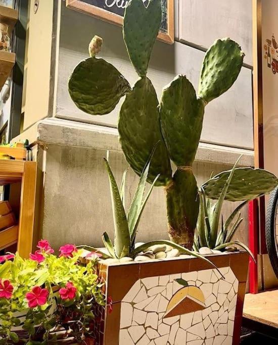 La Casa Di Eva Appartement Palermo Buitenkant foto
